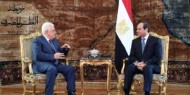الرئيس يجتمع مع نظيره المصري