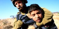 الاحتلال يعتقل 12 مواطنا على الأقل في الضفة الغربية