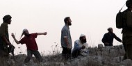 الخليل: مستوطنون يرشقون منازل أم الخير بالحجارة