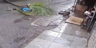 شجرة نخيل تقتل مذيعة تلفزيونية في الهند!