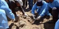 العثور على مقبرة جماعية تضم رفات 40 شخصًا غرب بغداد