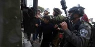 الاحتلال يعتقل طفلا ووالده أثناء قطفهما الزيتون شرق قلقيلية