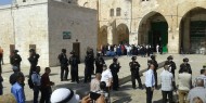 مستوطنون يقتحمون الأقصى و"غليك" يؤدي طقوسا تلمودية