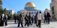 مستوطنون ينفذون اقتحامات واسعة للأقصى