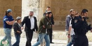 أكثر من 20 ألف مستوطن يؤدون طقوسا دينية بالحرم الإبراهيمي في الخليل