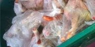 ضبط طن ونص دجاج مهرب من إسرائيل بمحافظة الخليل