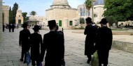 200 مستوطن وجندي بلباس عسكري وتلمودي يستبيحون المسجد الأقصى