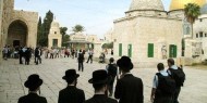 عصابات المستوطنين تقتحم المسجد الاقصى وبحراسات مشددة