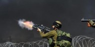 منظمات حقوقية فلسطينية تقدم بلاغا رابعا للجنائية الدولية بشأن جرائم الاحتلال