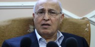 شعث: ما تقوم به إسرائيل اليوم هو استمرار لوعد بلفور