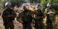 الاحتلال يبعد معلمة وداعية مقدسية عن الأقصى لمدة شهر
