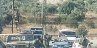 الاحتلال يستولي على مركبة في قرية بردلة بالأغوار