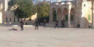 الاحتلال يمنع حارسا من دخول المسجد الأقصى