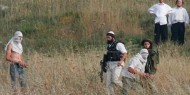 مستوطنون يحرقون أراضي في عقربا جنوب نابلس