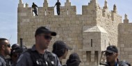لجان كشف الأضرار عن اقتحامات الأقصى: سلطات الاحتلال عبثت بالمسجد ولا مفقودات