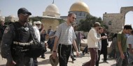 نحو 90 مستوطنا يقتحمون الأقصى في الفترة الصباحية
